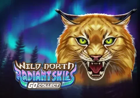 Wild North Radiant Skies GO Collect